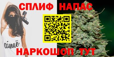 мяу мяу мука Нальчик