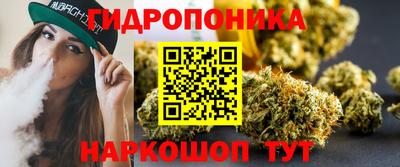 СК Новозыбков