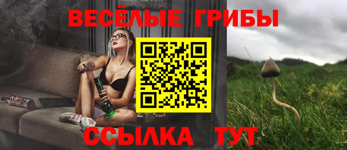 Галлюциногенные грибы Psilocybine cubensis  Вход с VPN  Нягань  Галлюциногенные грибы Psilocybine cubensis 